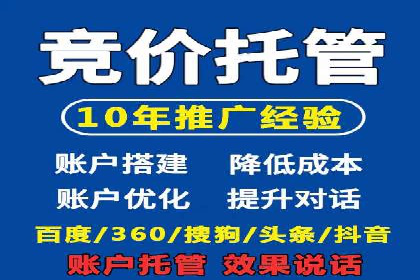 解析SEM主管在竞争激烈市场中的生存之道——以成功案例为鉴